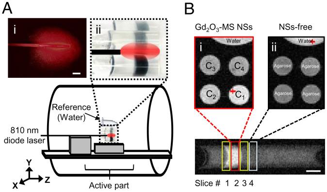 https://cdn.ncbi.nlm.nih.gov/pmc/blobs/8b41/9303993/8d0609757d77/pnas.2123527119fig04.jpg