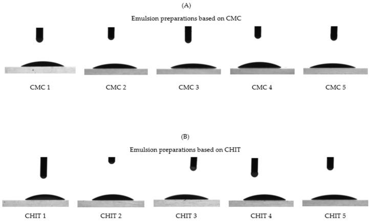 https://cdn.ncbi.nlm.nih.gov/pmc/blobs/8b45/11678291/60967cb517a4/insects-15-00931-g008.jpg