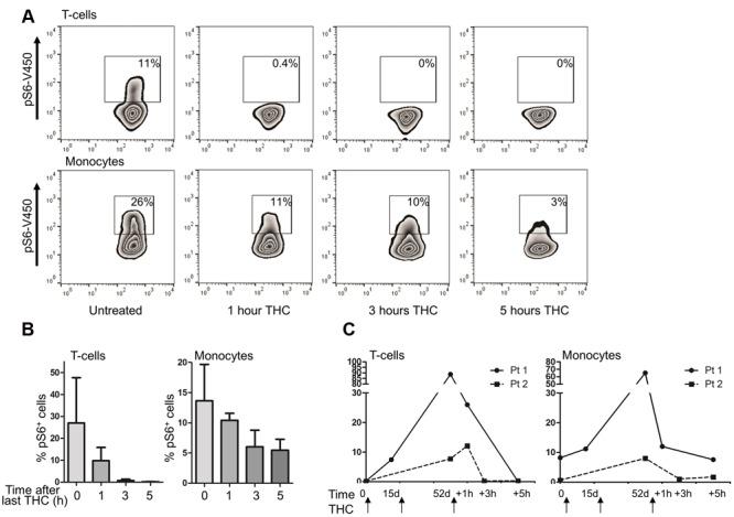 https://cdn.ncbi.nlm.nih.gov/pmc/blobs/8b45/5258717/60286a945c07/fnmol-10-00014-g005.jpg