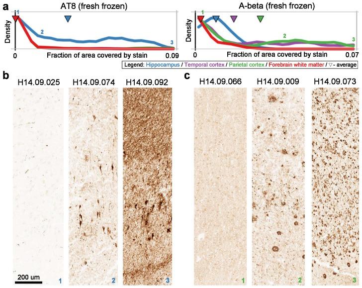 https://cdn.ncbi.nlm.nih.gov/pmc/blobs/8b46/5679757/6604f26ef74d/elife-31126-fig2-figsupp1.jpg