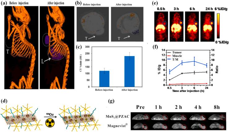 https://cdn.ncbi.nlm.nih.gov/pmc/blobs/8b46/8102209/6e2f5e7a52da/gr8.jpg
