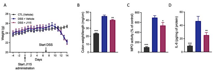 https://cdn.ncbi.nlm.nih.gov/pmc/blobs/8b47/10542644/d5322ca92655/figs1.jpg
