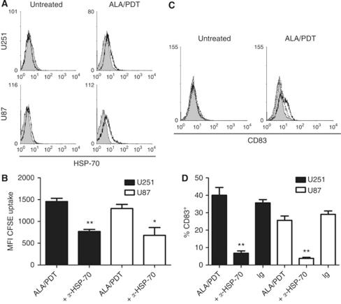 https://cdn.ncbi.nlm.nih.gov/pmc/blobs/8b48/3185943/f46d37395f89/bjc2011327f5.jpg
