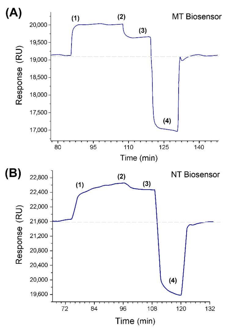 https://cdn.ncbi.nlm.nih.gov/pmc/blobs/8b48/7663036/a559716f9803/sensors-20-06240-g003.jpg