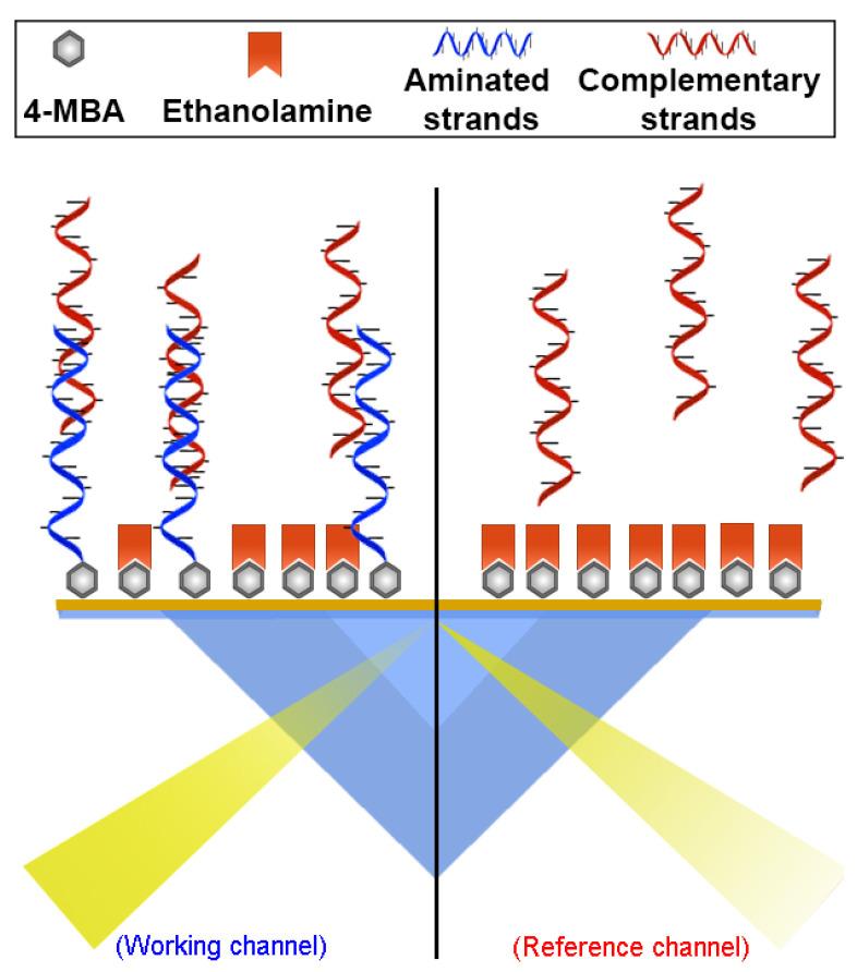 https://cdn.ncbi.nlm.nih.gov/pmc/blobs/8b48/7663036/c81810630e55/sensors-20-06240-g001.jpg
