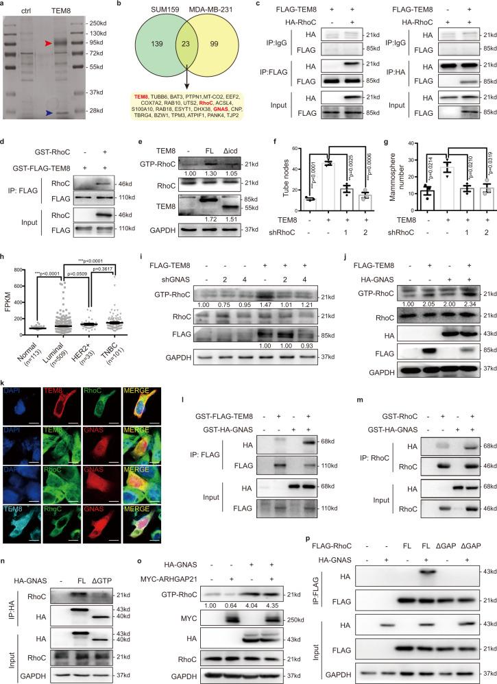 https://cdn.ncbi.nlm.nih.gov/pmc/blobs/8b48/8292527/66970e893090/41467_2021_24703_Fig3_HTML.jpg