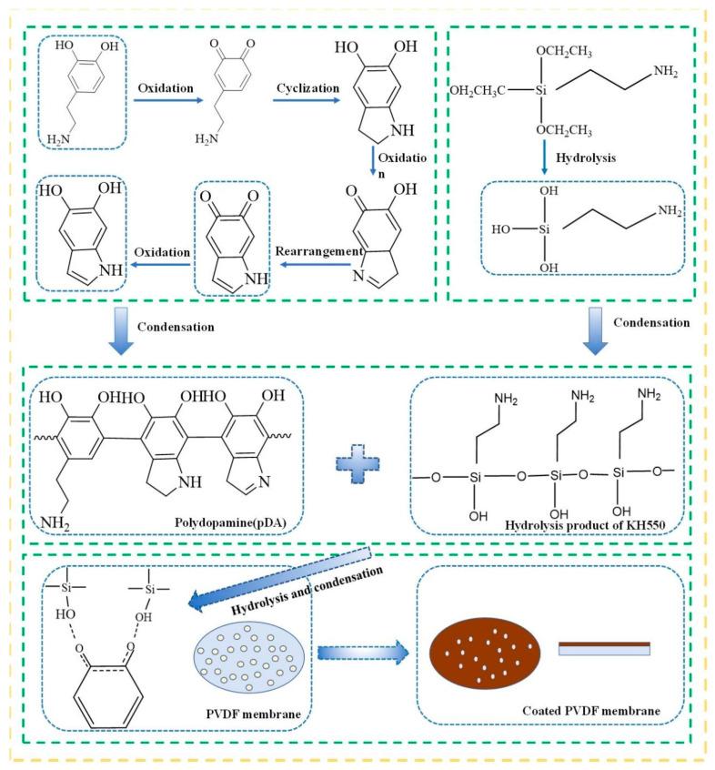 https://cdn.ncbi.nlm.nih.gov/pmc/blobs/8b49/9415628/3a7e119cb4a3/membranes-12-00740-g001.jpg