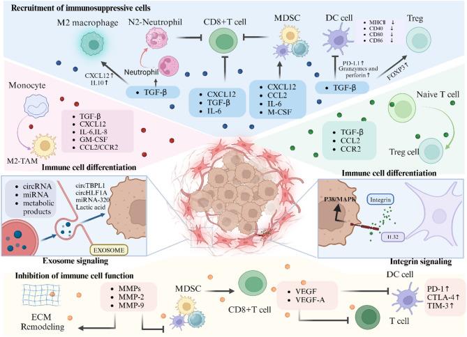https://cdn.ncbi.nlm.nih.gov/pmc/blobs/8b4b/12186372/ed47ba73cd16/12967_2025_6744_Fig2_HTML.jpg