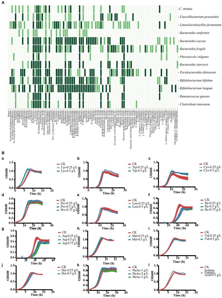 https://cdn.ncbi.nlm.nih.gov/pmc/blobs/8b4c/10910051/0fd75d69a33f/fmicb-15-1301073-g008.jpg