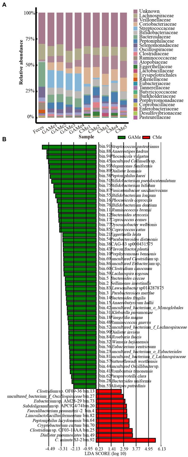 https://cdn.ncbi.nlm.nih.gov/pmc/blobs/8b4c/10910051/2091be421cf1/fmicb-15-1301073-g002.jpg