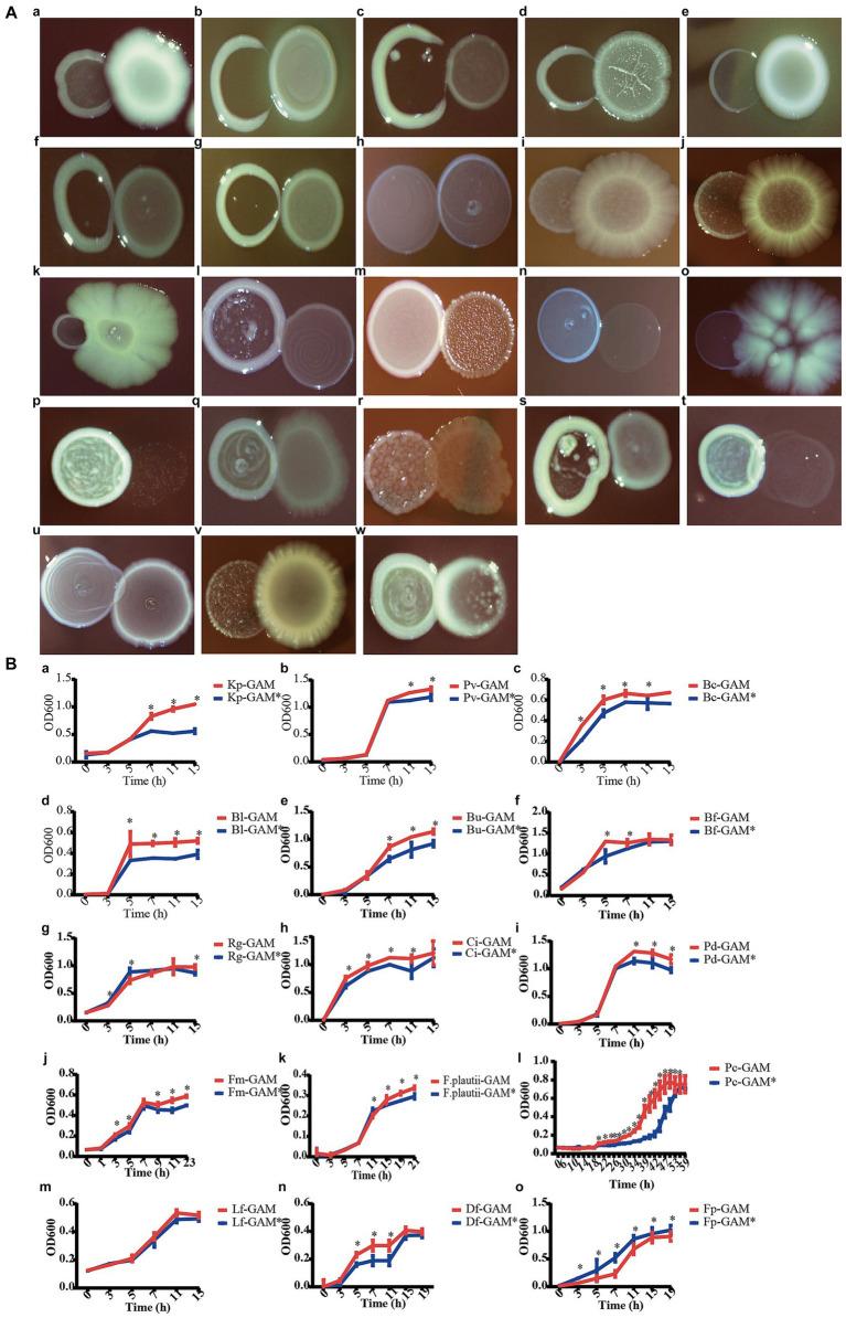 https://cdn.ncbi.nlm.nih.gov/pmc/blobs/8b4c/10910051/64a00c358086/fmicb-15-1301073-g007.jpg