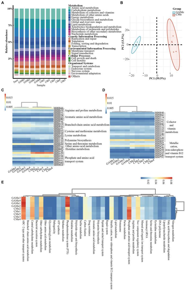 https://cdn.ncbi.nlm.nih.gov/pmc/blobs/8b4c/10910051/79da7a0c1bed/fmicb-15-1301073-g003.jpg