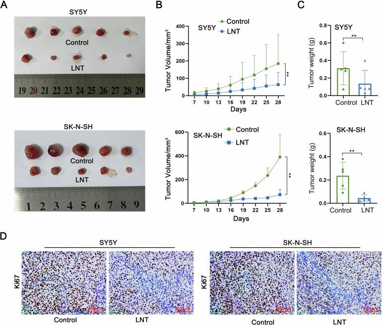 https://cdn.ncbi.nlm.nih.gov/pmc/blobs/8b4c/11910558/fe5745dfe763/41420_2025_2315_Fig1_HTML.jpg