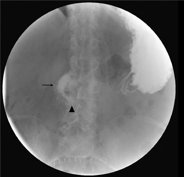 https://cdn.ncbi.nlm.nih.gov/pmc/blobs/8b4e/6406046/16d7c451419e/gr1.jpg