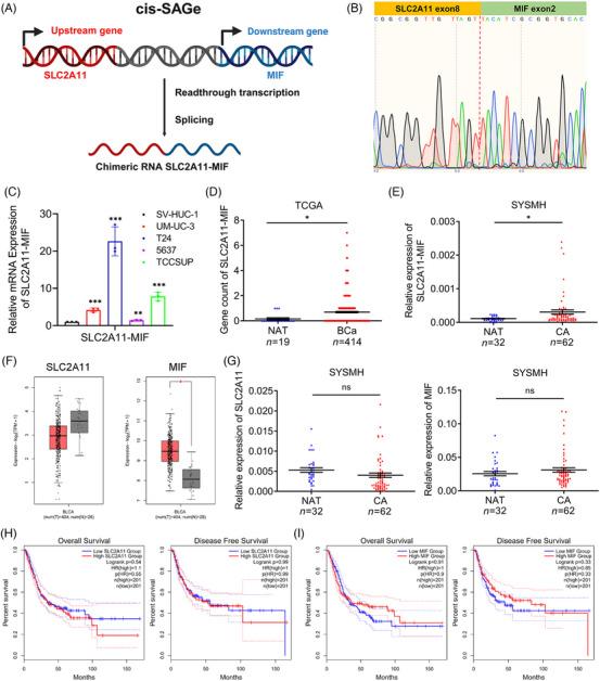 https://cdn.ncbi.nlm.nih.gov/pmc/blobs/8b51/11324686/3e25809fb210/MCO2-5-e685-g002.jpg