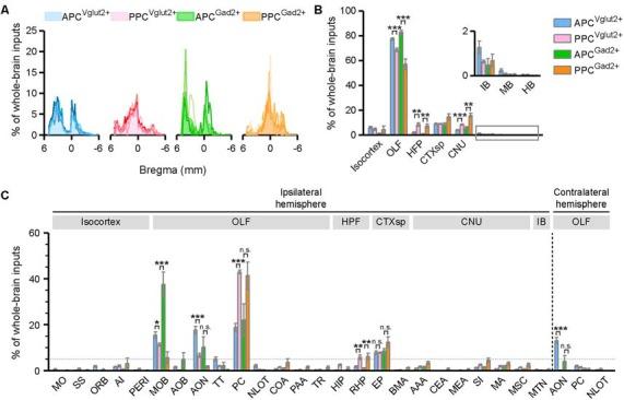 https://cdn.ncbi.nlm.nih.gov/pmc/blobs/8b53/7019026/4a907bf86574/fncir-14-00004-g0002.jpg