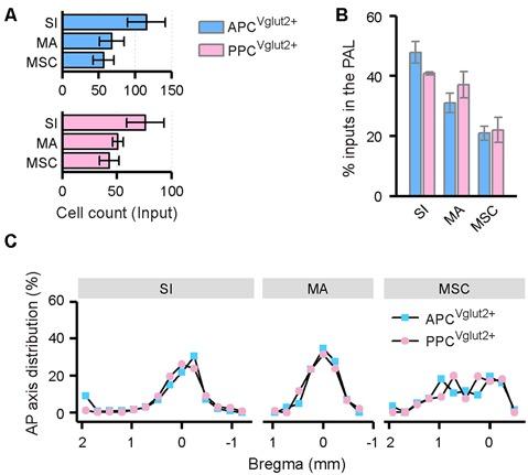 https://cdn.ncbi.nlm.nih.gov/pmc/blobs/8b53/7019026/9d89682e491b/fncir-14-00004-g0008.jpg