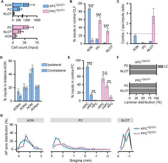 https://cdn.ncbi.nlm.nih.gov/pmc/blobs/8b53/7019026/e2f3fa60414a/fncir-14-00004-g0005.jpg