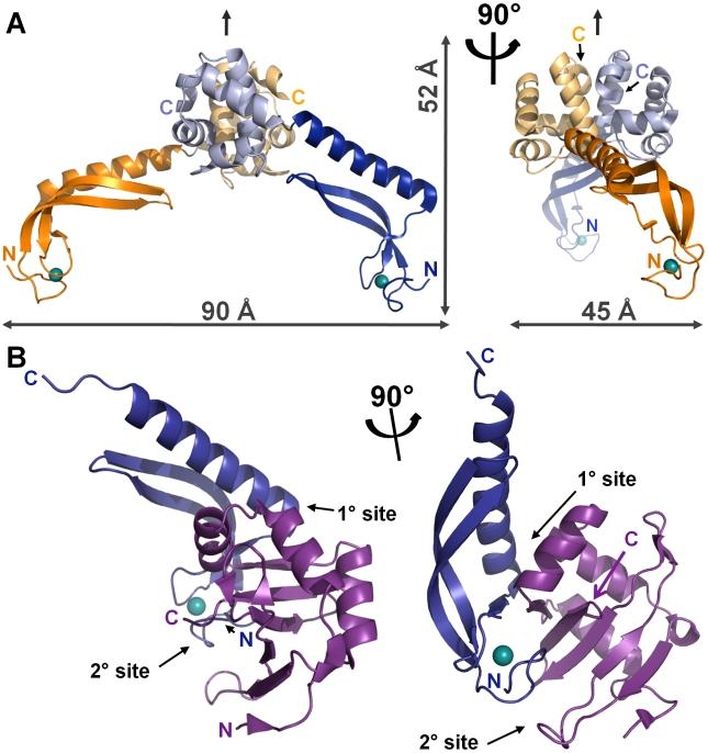 https://cdn.ncbi.nlm.nih.gov/pmc/blobs/8b55/2791442/832dda8a764e/ppat.1000706.g002.jpg