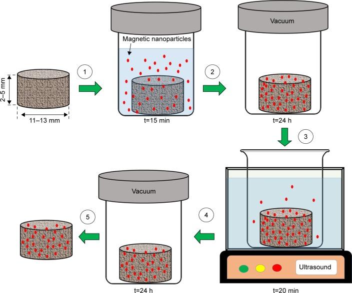 https://cdn.ncbi.nlm.nih.gov/pmc/blobs/8b55/5702531/9b34e8335571/ijn-12-8389Fig4.jpg