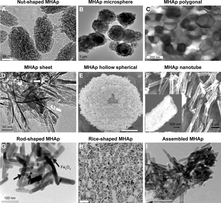 https://cdn.ncbi.nlm.nih.gov/pmc/blobs/8b55/5702531/efa6cbe94452/ijn-12-8389Fig2.jpg
