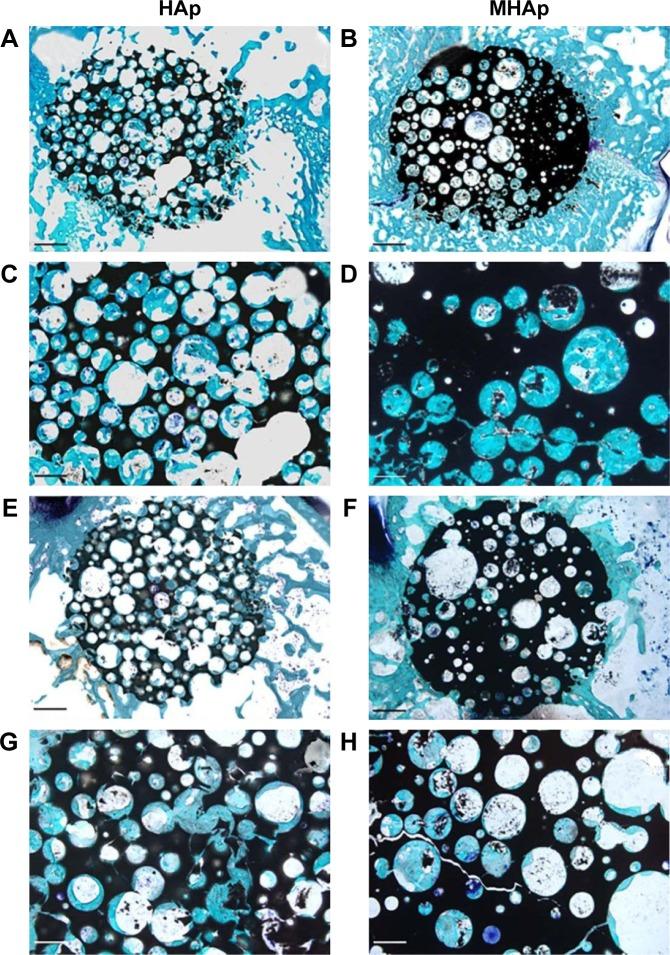 https://cdn.ncbi.nlm.nih.gov/pmc/blobs/8b55/5702531/efede75bd145/ijn-12-8389Fig5.jpg