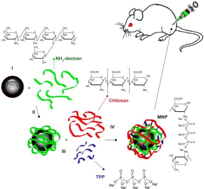 https://cdn.ncbi.nlm.nih.gov/pmc/blobs/8b56/5856030/3058537d00e7/ijn-13-1471Fig1.jpg