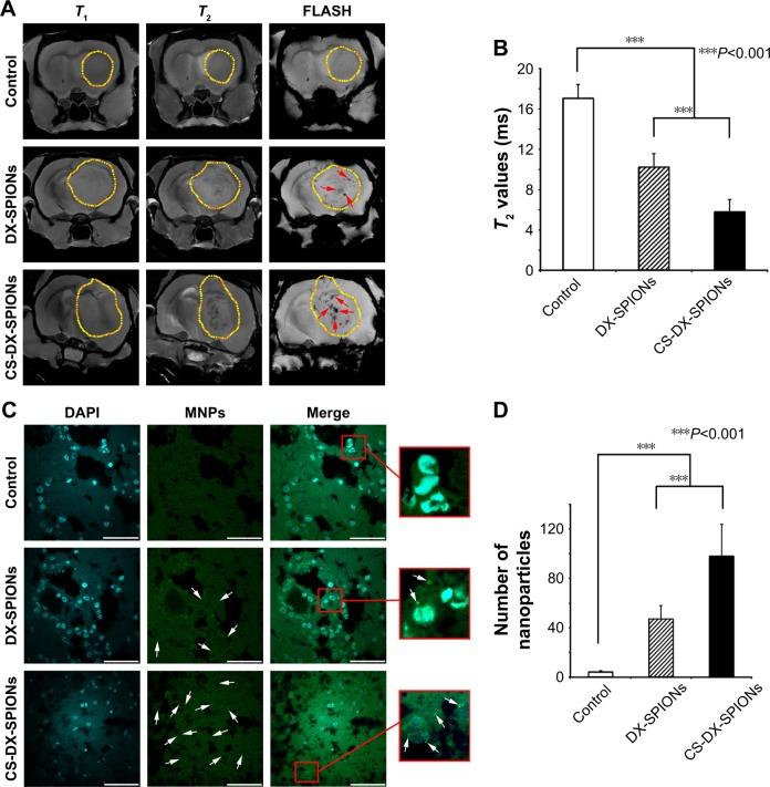 https://cdn.ncbi.nlm.nih.gov/pmc/blobs/8b56/5856030/c83971f1615b/ijn-13-1471Fig6.jpg