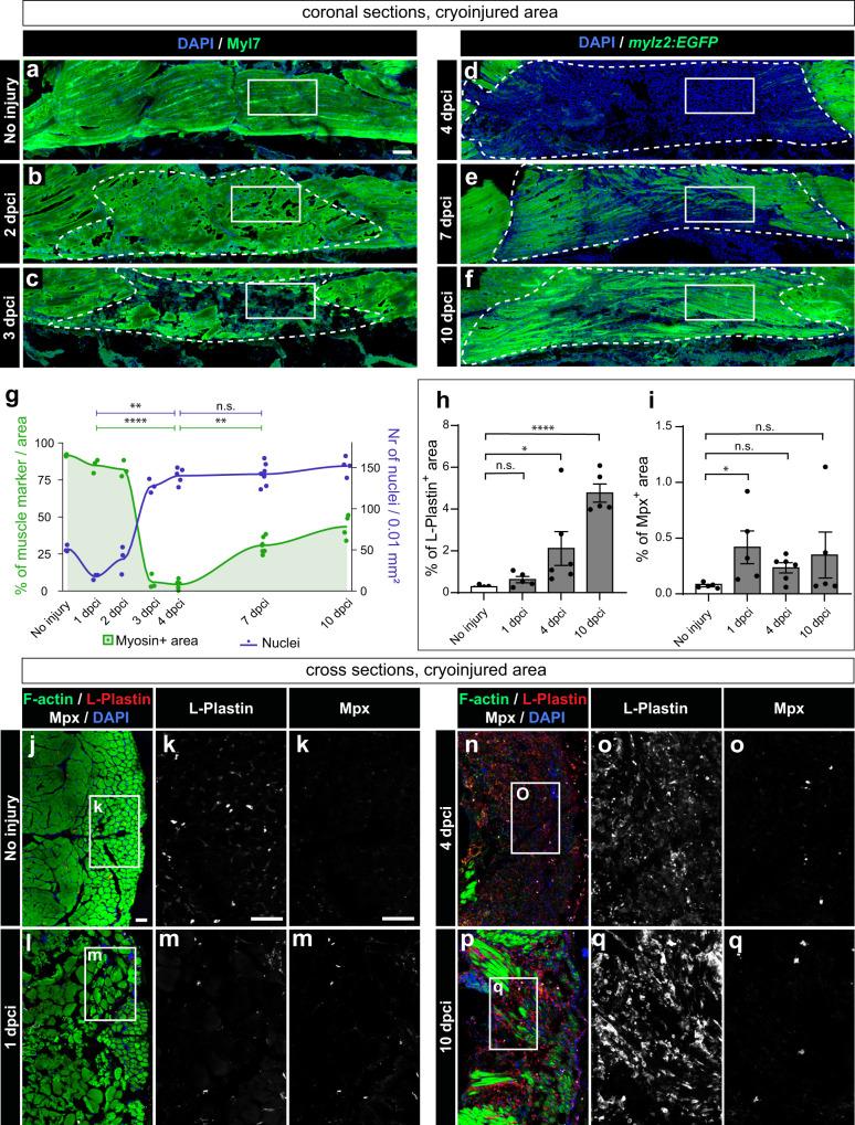https://cdn.ncbi.nlm.nih.gov/pmc/blobs/8b57/10879182/1e4c494f9b30/41536_2024_351_Fig3_HTML.jpg