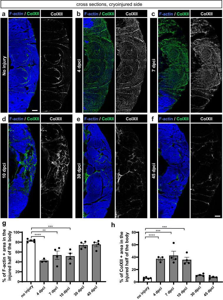 https://cdn.ncbi.nlm.nih.gov/pmc/blobs/8b57/10879182/9abdd804f061/41536_2024_351_Fig2_HTML.jpg