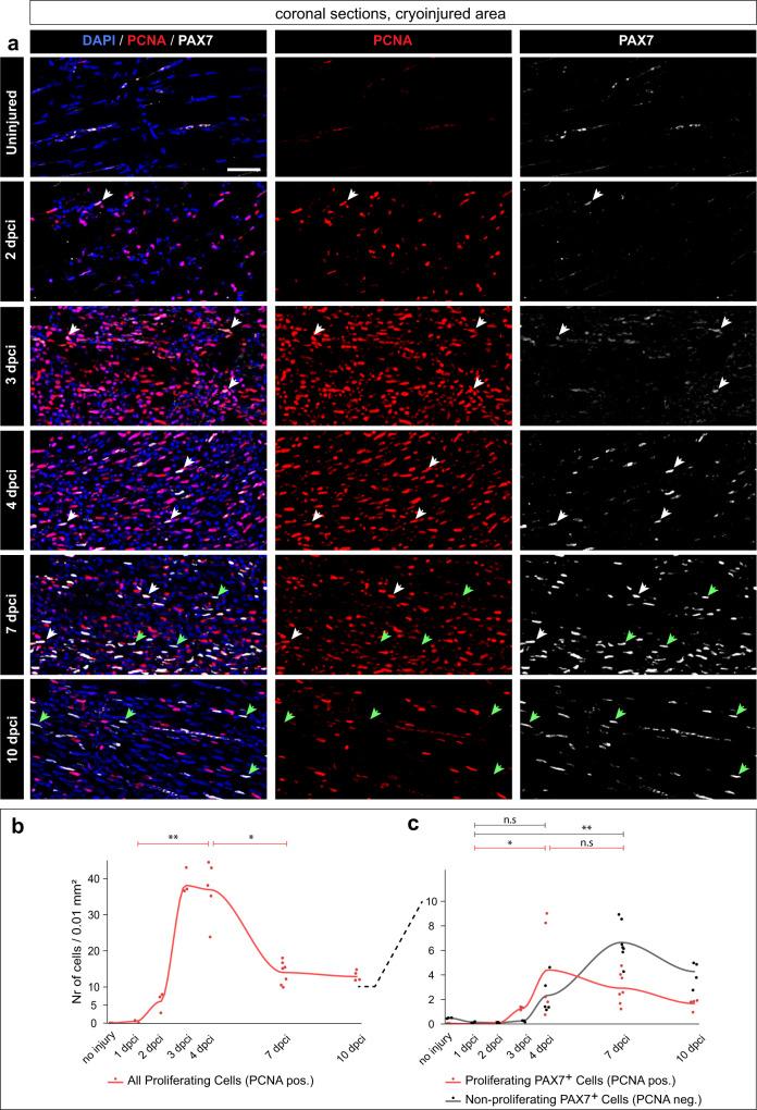 https://cdn.ncbi.nlm.nih.gov/pmc/blobs/8b57/10879182/eb51ab1d96d2/41536_2024_351_Fig4_HTML.jpg