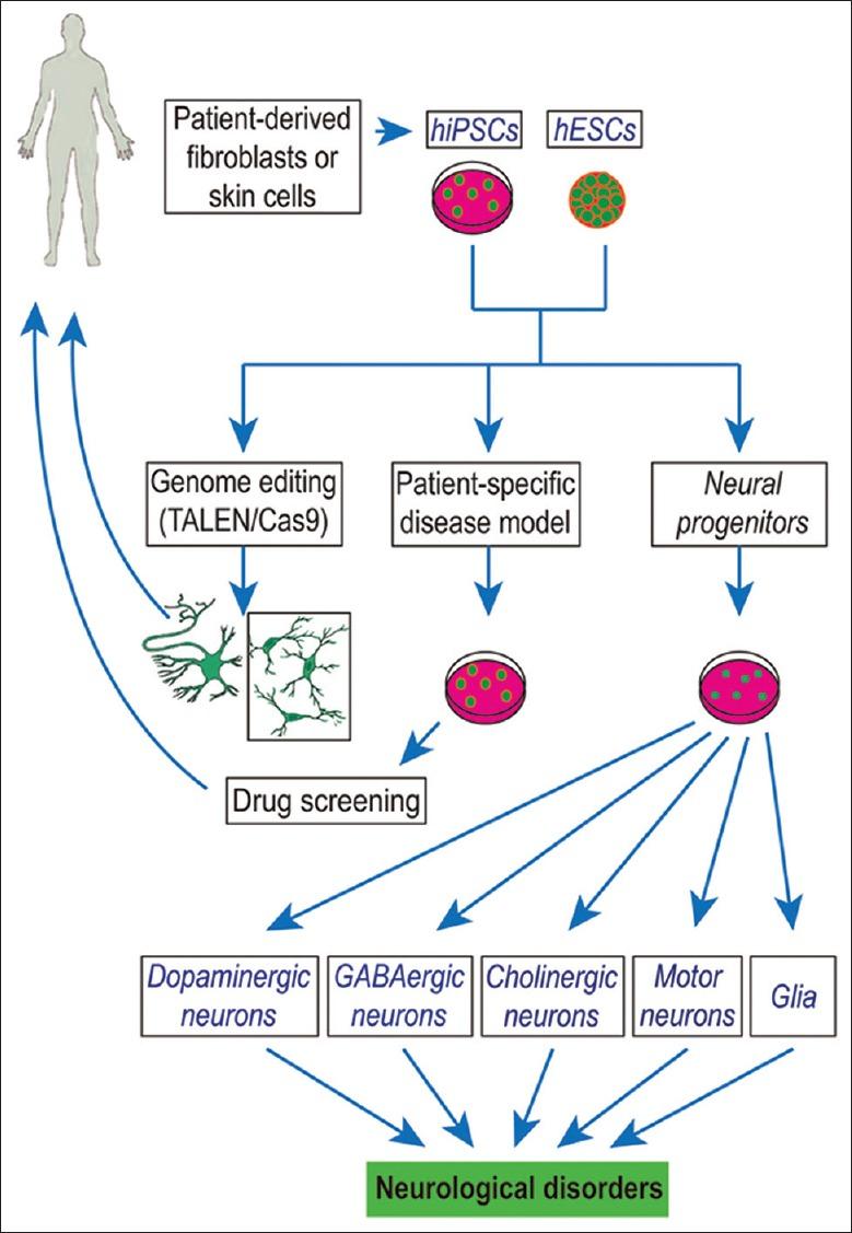 https://cdn.ncbi.nlm.nih.gov/pmc/blobs/8b58/5634089/cfd340601fd9/CMJ-130-2361-g001.jpg