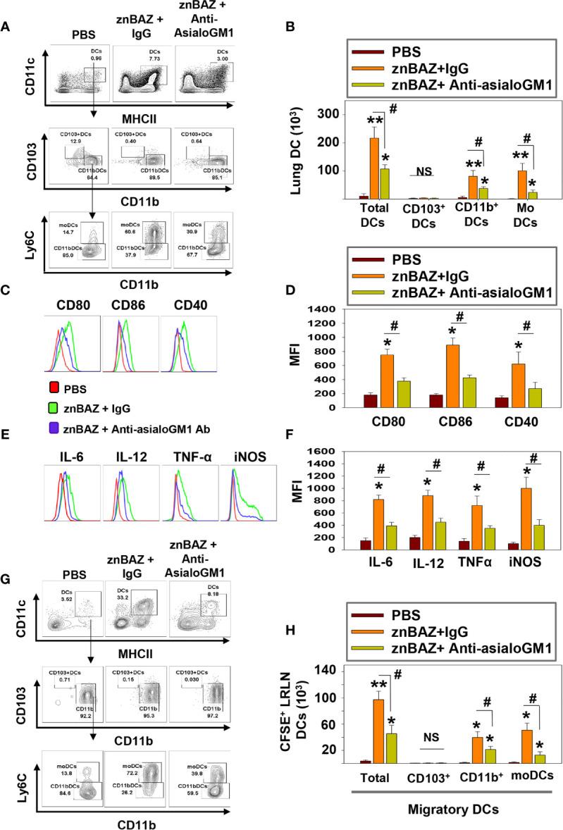 https://cdn.ncbi.nlm.nih.gov/pmc/blobs/8b5c/8293993/7939ba849f8f/fimmu-12-697953-g004.jpg