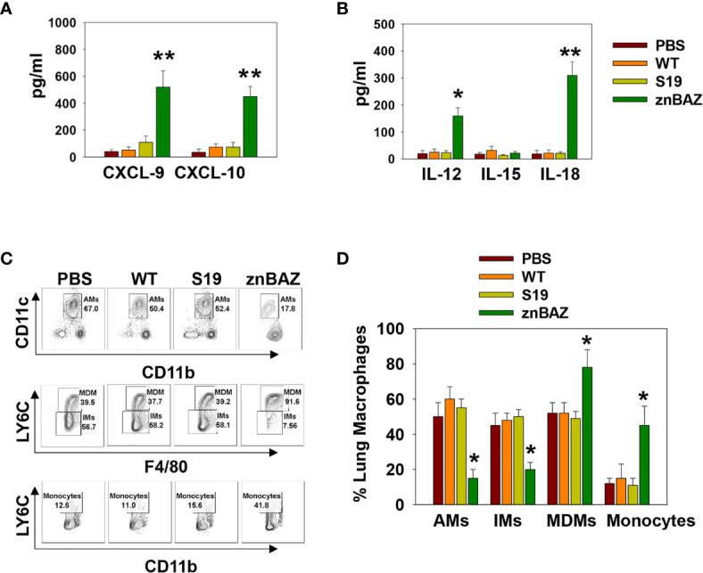 https://cdn.ncbi.nlm.nih.gov/pmc/blobs/8b5c/8293993/7ff989a30158/fimmu-12-697953-g002.jpg