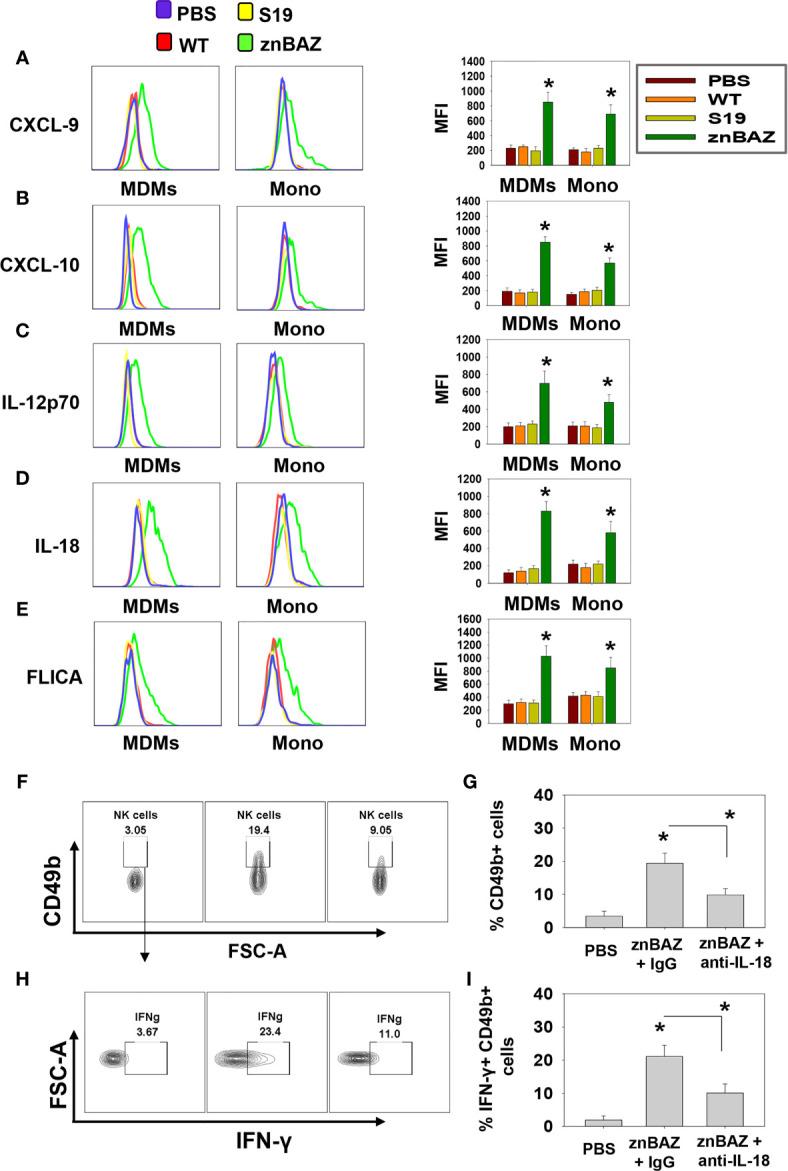 https://cdn.ncbi.nlm.nih.gov/pmc/blobs/8b5c/8293993/8bddfb981d00/fimmu-12-697953-g003.jpg