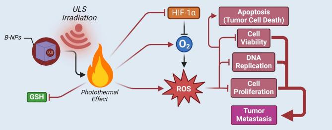 https://cdn.ncbi.nlm.nih.gov/pmc/blobs/8b5d/12135266/bbcee8176b72/13046_2025_3427_Fig5_HTML.jpg