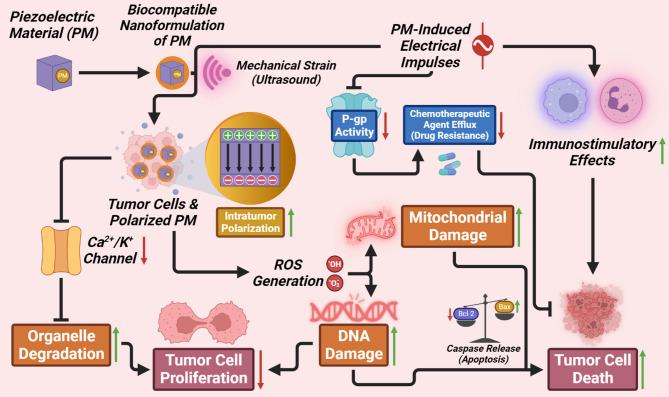 https://cdn.ncbi.nlm.nih.gov/pmc/blobs/8b5d/12135266/d1377b60f757/13046_2025_3427_Fig3_HTML.jpg