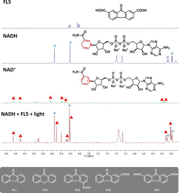https://cdn.ncbi.nlm.nih.gov/pmc/blobs/8b5f/11672552/7c519a3367b1/au4c00815_0002.jpg