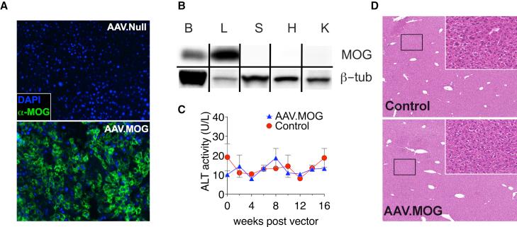 https://cdn.ncbi.nlm.nih.gov/pmc/blobs/8b60/9849872/538459d357ee/gr1.jpg