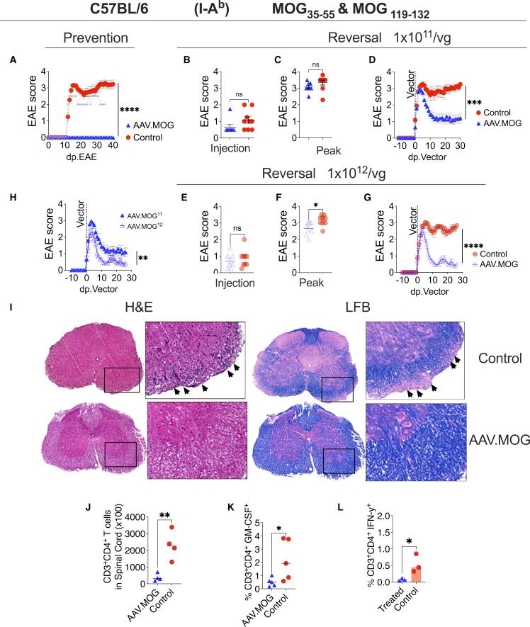 https://cdn.ncbi.nlm.nih.gov/pmc/blobs/8b60/9849872/56031ed6bbb4/gr4.jpg