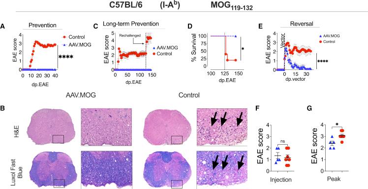 https://cdn.ncbi.nlm.nih.gov/pmc/blobs/8b60/9849872/c0dfbc29a860/gr2.jpg