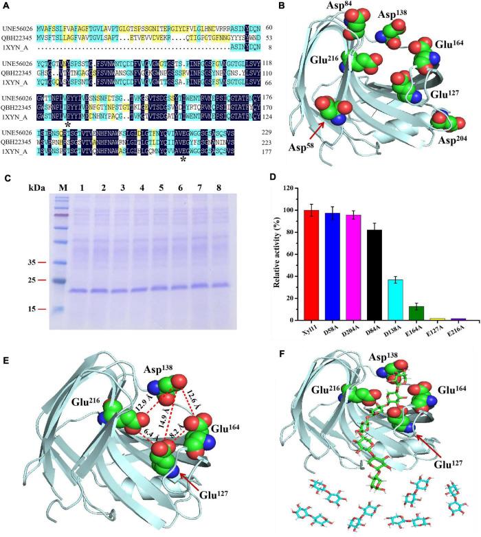 https://cdn.ncbi.nlm.nih.gov/pmc/blobs/8b63/9527580/5e81050e425d/fmicb-13-998160-g004.jpg