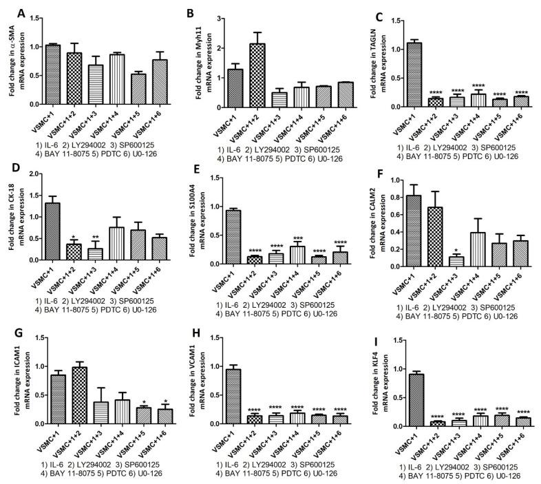 https://cdn.ncbi.nlm.nih.gov/pmc/blobs/8b64/9570261/34cee6569db5/ijms-23-12012-g007.jpg