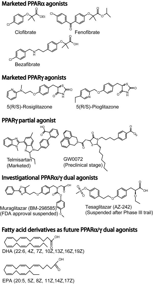 https://cdn.ncbi.nlm.nih.gov/pmc/blobs/8b66/2322958/375f3dd58986/1475-2840-7-6-1.jpg