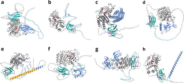 https://cdn.ncbi.nlm.nih.gov/pmc/blobs/8b68/10794386/e65a8751a111/253_2023_12837_Fig2_HTML.jpg
