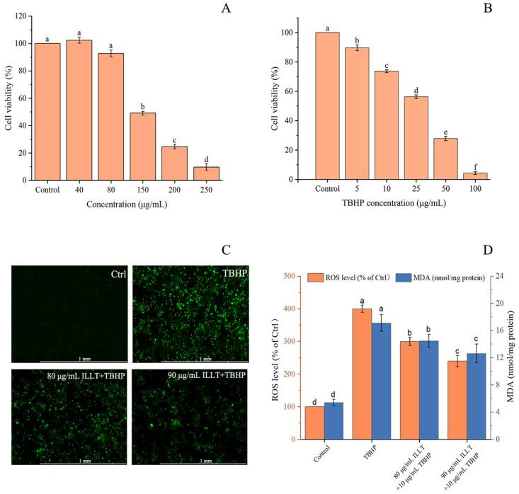 https://cdn.ncbi.nlm.nih.gov/pmc/blobs/8b68/11171701/7c101718b4a1/foods-13-01719-g010.jpg