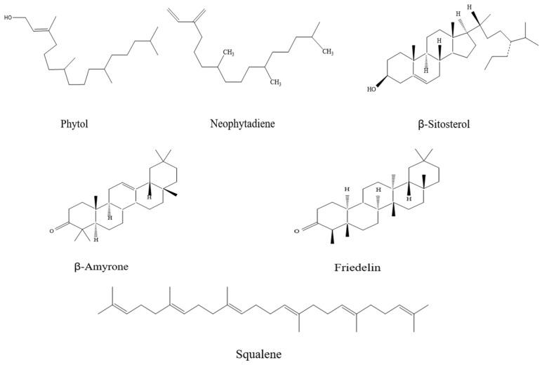 https://cdn.ncbi.nlm.nih.gov/pmc/blobs/8b68/11171701/c0d8791beb0b/foods-13-01719-g002.jpg