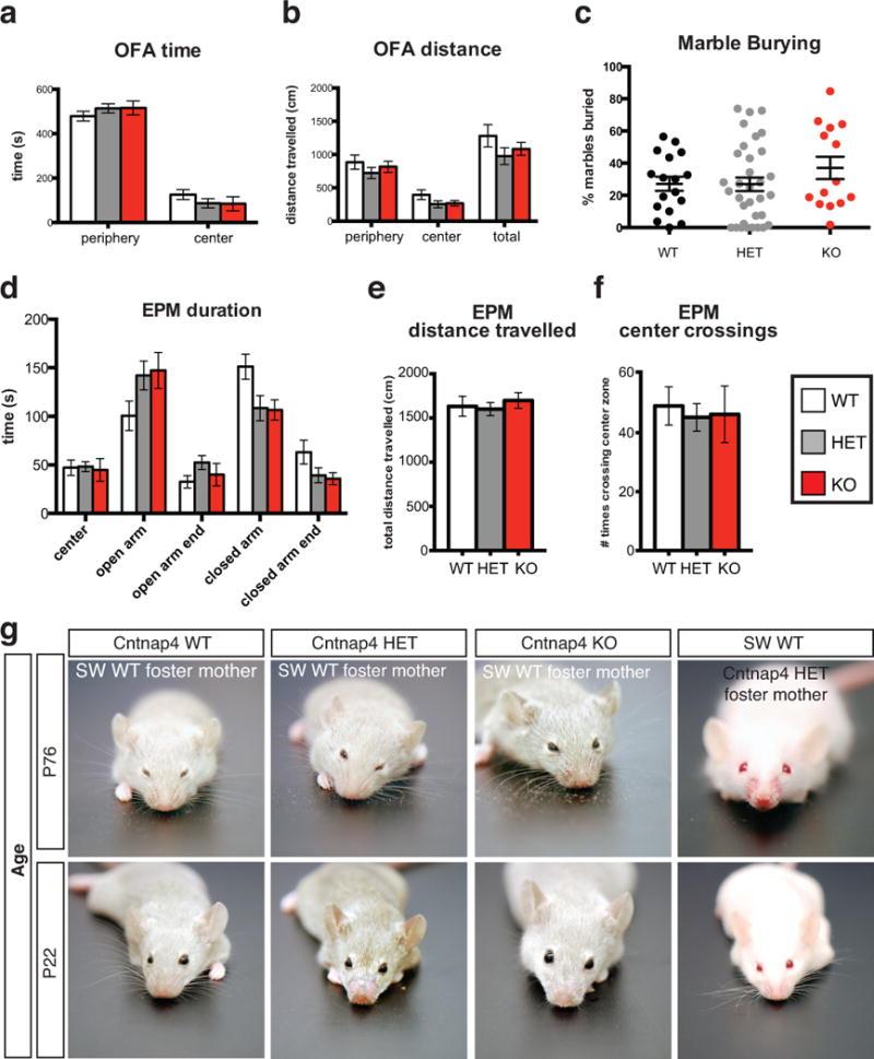 https://cdn.ncbi.nlm.nih.gov/pmc/blobs/8b68/4281262/1eda465c5eeb/nihms574805f9.jpg