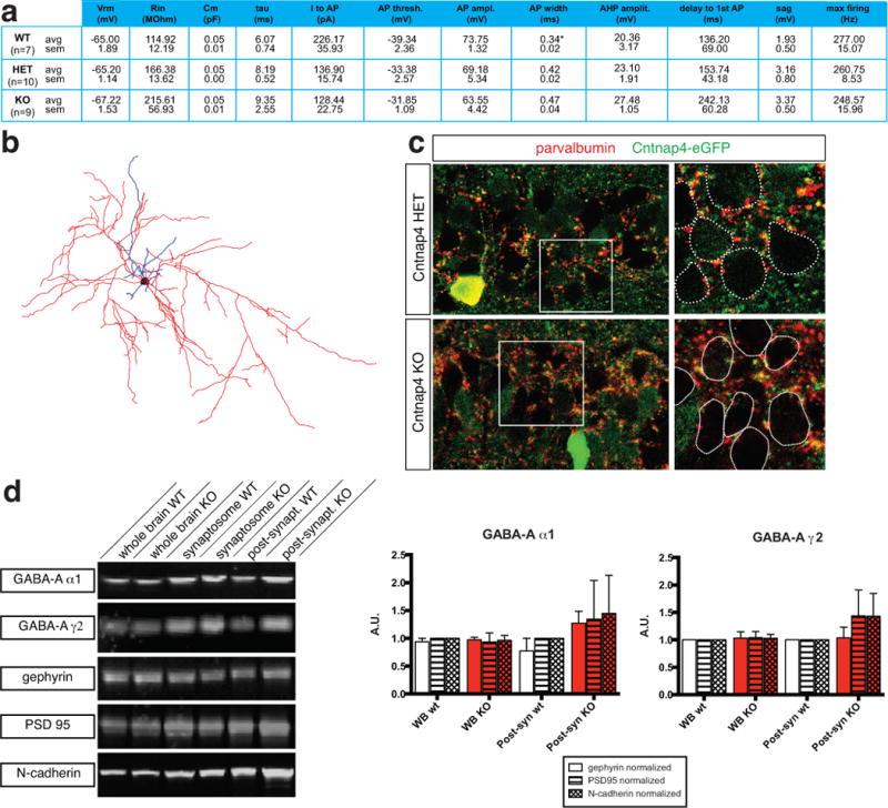 https://cdn.ncbi.nlm.nih.gov/pmc/blobs/8b68/4281262/8d3f7a17d79b/nihms574805f4.jpg