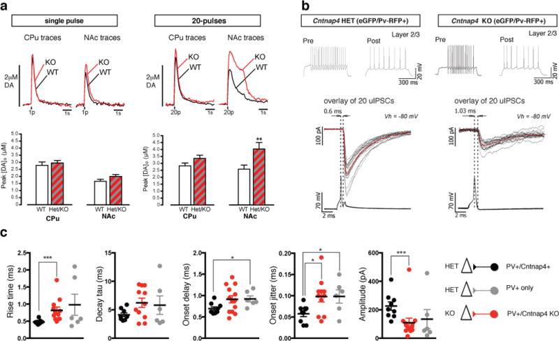 https://cdn.ncbi.nlm.nih.gov/pmc/blobs/8b68/4281262/fbdb379bdccd/nihms574805f12.jpg